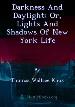 Darkness and Daylight; or, Lights and Shadows of New York Life Cover image