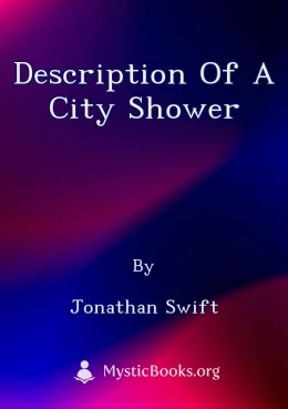 Description Of A City Shower Cover image