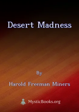Desert Madness Cover image
