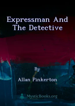 Expressman and the Detective Cover image