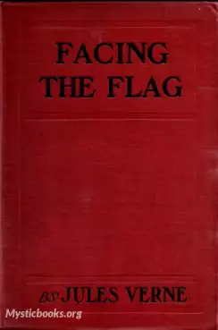 Book Cover of Facing the Flag 