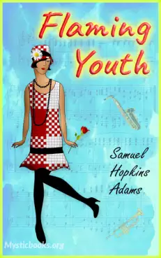 Flaming Youth Cover image