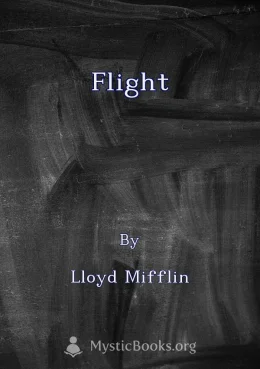 Flight Cover image