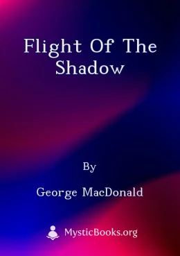 Flight of the Shadow Cover image