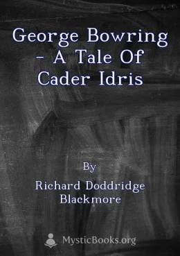 George Bowring - A Tale Of Cader Idris Cover image