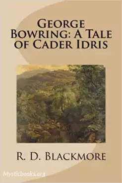 Book Cover of George Bowring - A Tale Of Cader Idris
