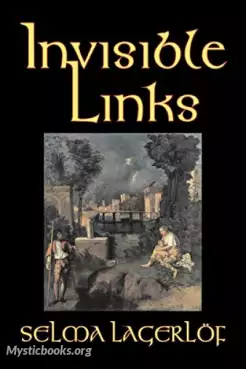 Book Cover of Invisible Links 