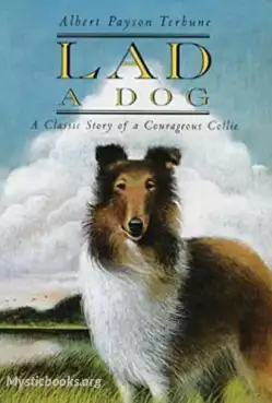Book Cover of Lad: A Dog