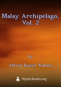 Malay Archipelago, Vol. 2 Cover image