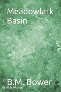 Meadowlark Basin Cover image