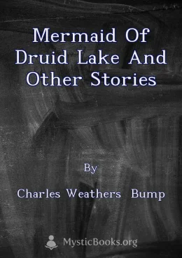 Mermaid of Druid Lake and Other Stories Cover image