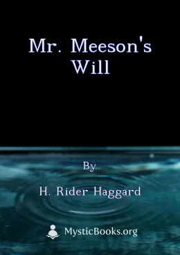 Mr. Meeson's Will Cover image