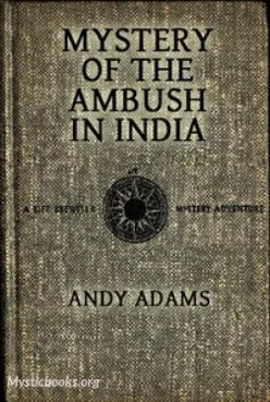 Mystery of the Ambush in India Cover image