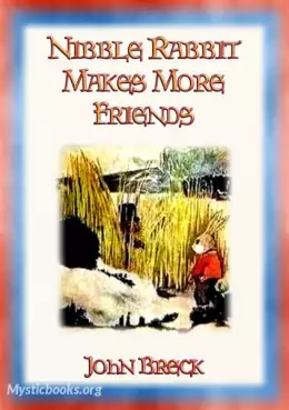 Book Cover of Nibble Rabbit Makes More Friends