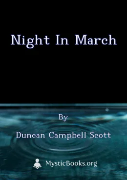 Night in March Cover image