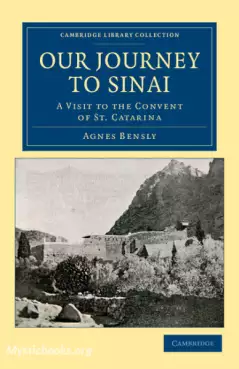 Our Journey to Sinai Cover image