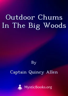 Outdoor Chums in the Big Woods Cover image
