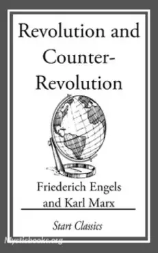 Book Cover of Revolution and Counter-Revolution in Germany 