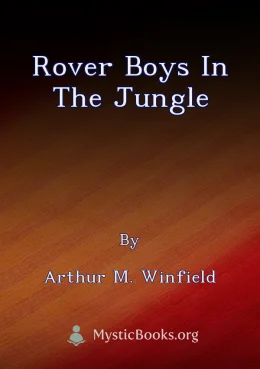 Rover Boys in the Jungle Cover image