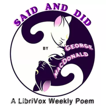 Said and Did Cover image