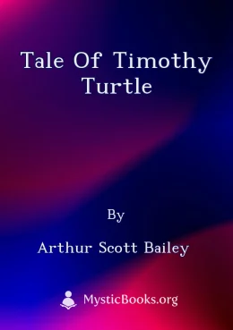 Tale of Timothy Turtle Cover image