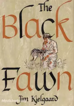 Book Cover of The Black Fawn