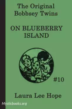 Book Cover of The Bobbsey Twins on Blueberry Island