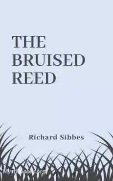 The Bruised Reed Cover image