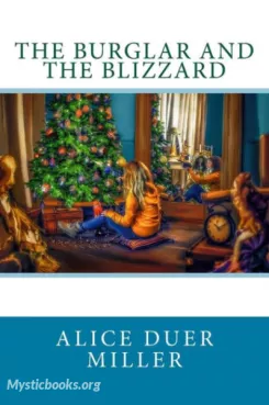 The Burglar and the Blizzard Cover image
