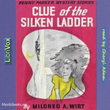 The Clue of the Silken Ladder Cover image