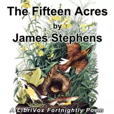 The Fifteen Acres Cover image