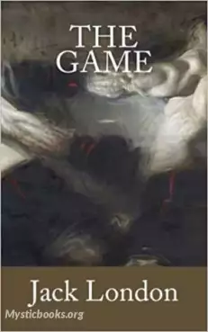 Book Cover of The Game