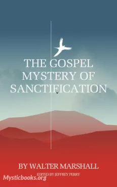 The Gospel-Mystery of Sanctification Cover image