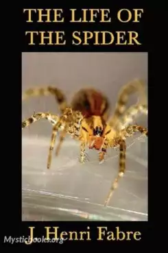 Book Cover of The Life of the Spider