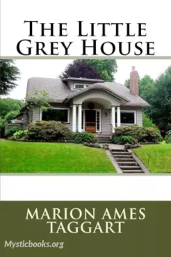 The Little Grey House Cover image