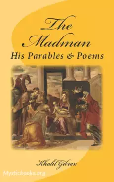 Book Cover of The Madman 