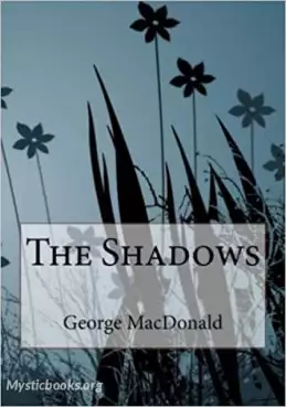 Book Cover of The Shadows
