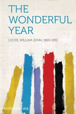 The Wonderful Year Cover image