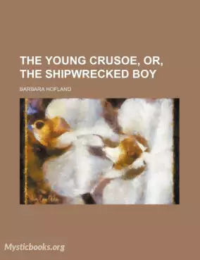 Book Cover of The young crusoe or The shipwrecked boy