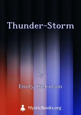 Thunder-Storm Cover image