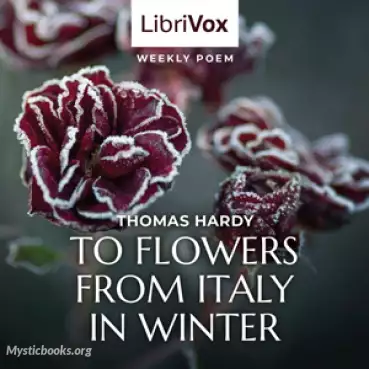 Book Cover of To Flowers From Italy In Winter