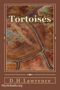Tortoises Cover image