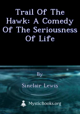 Trail of the Hawk: a Comedy of the Seriousness of Life Cover image