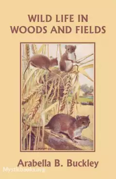 Book Cover of Wild Life in Woods and Fields