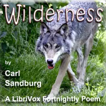 Wilderness Cover image